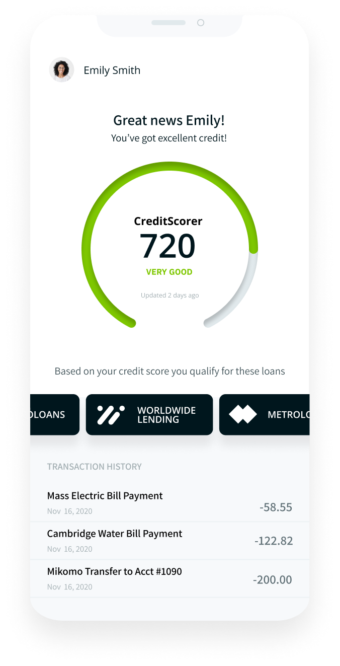 Graphic depicting the fintech operating as intended with the example of credit score