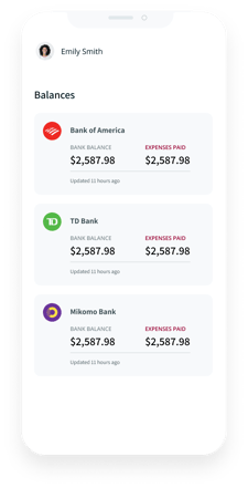 Graphic depicting the fintech operating as intended with the example of balances and expenses paid per bank account