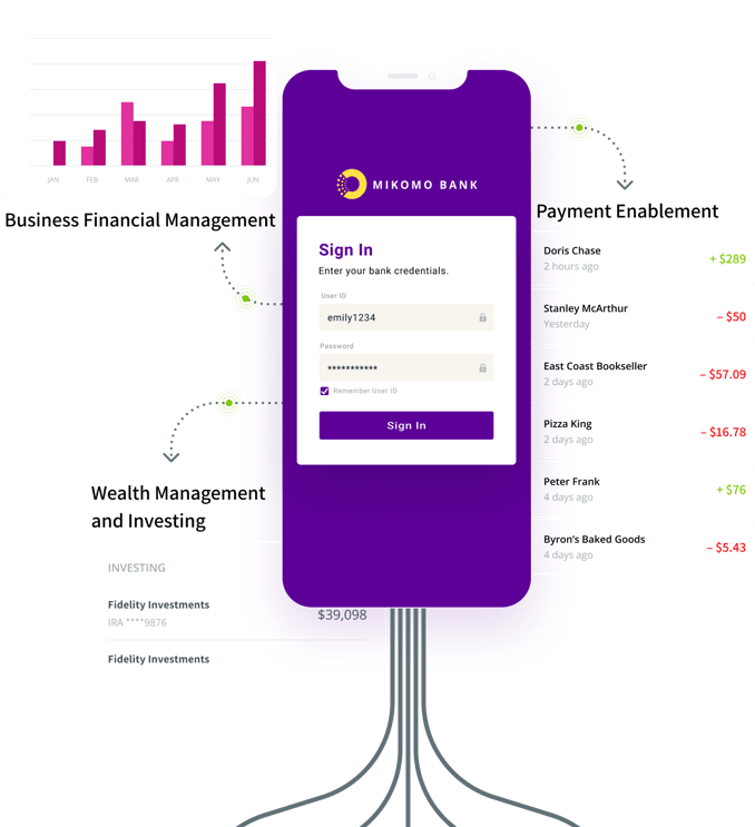 Graphic depicting sign in for bank with secure api connections to products such as business financial management payment enablement wealth management and investing